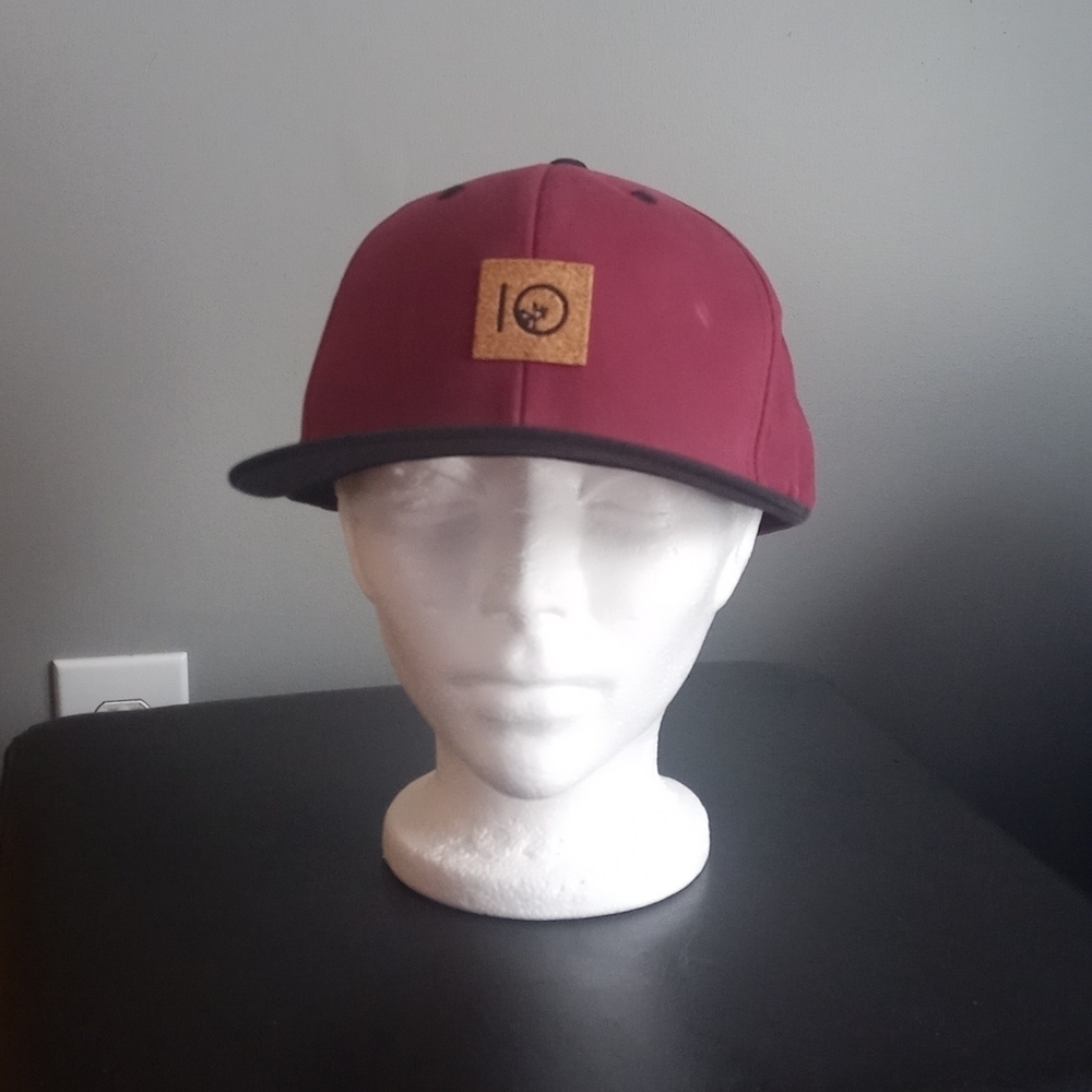 Tentree Cork Emblem Snapback Baseball Cap